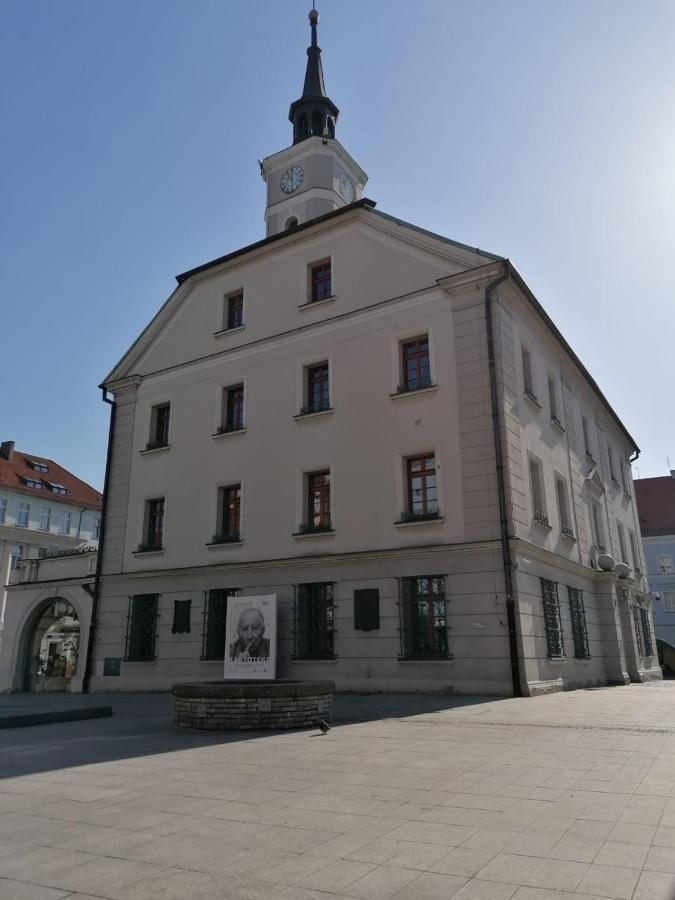 Apartament Old Town Apartment Гливице Екстериор снимка
